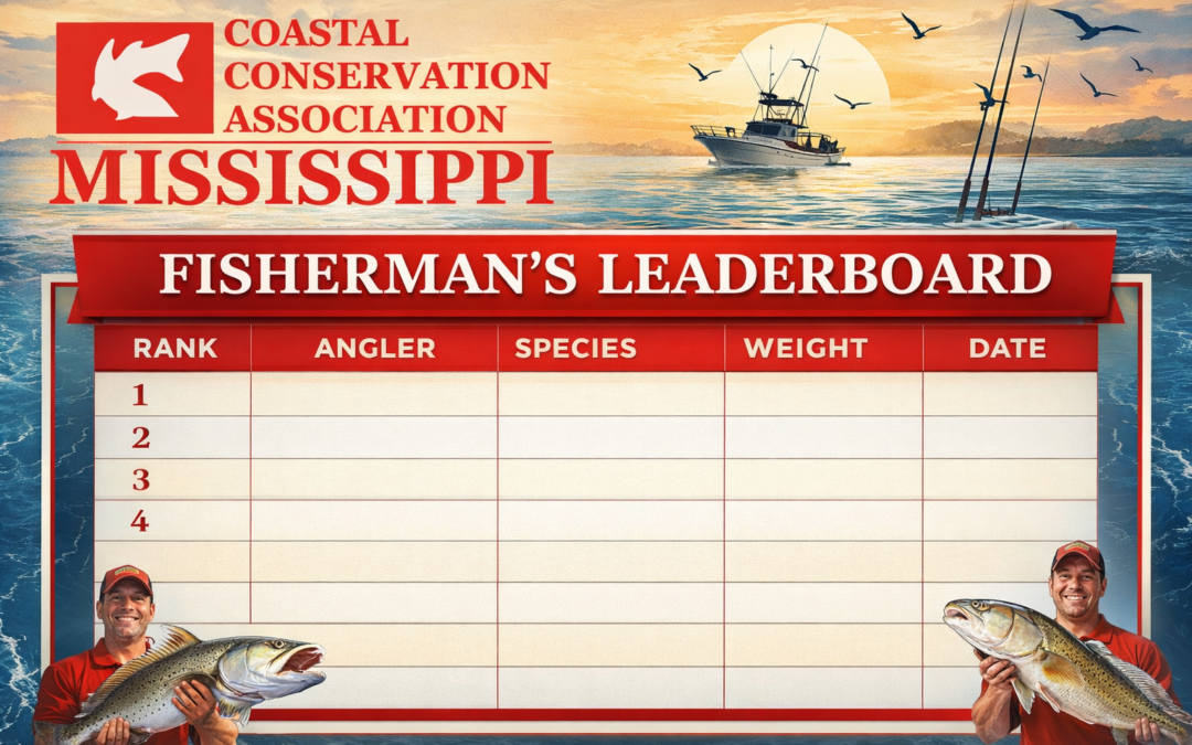 Leaderboard Draft
