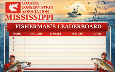 Leaderboard Draft